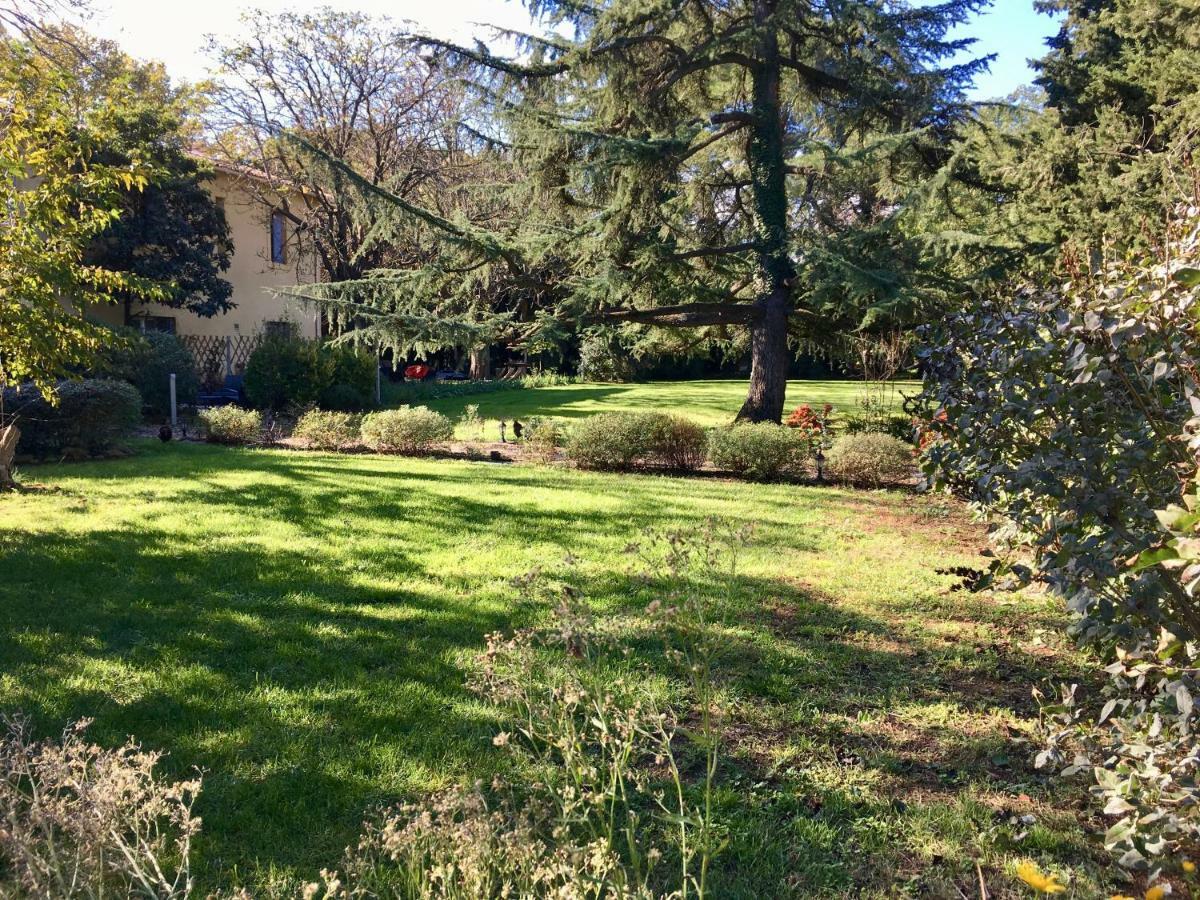 Gites Avec Piscine Et Jacuzzi Au Mas De Cadoule Saint-Just  Номер фото